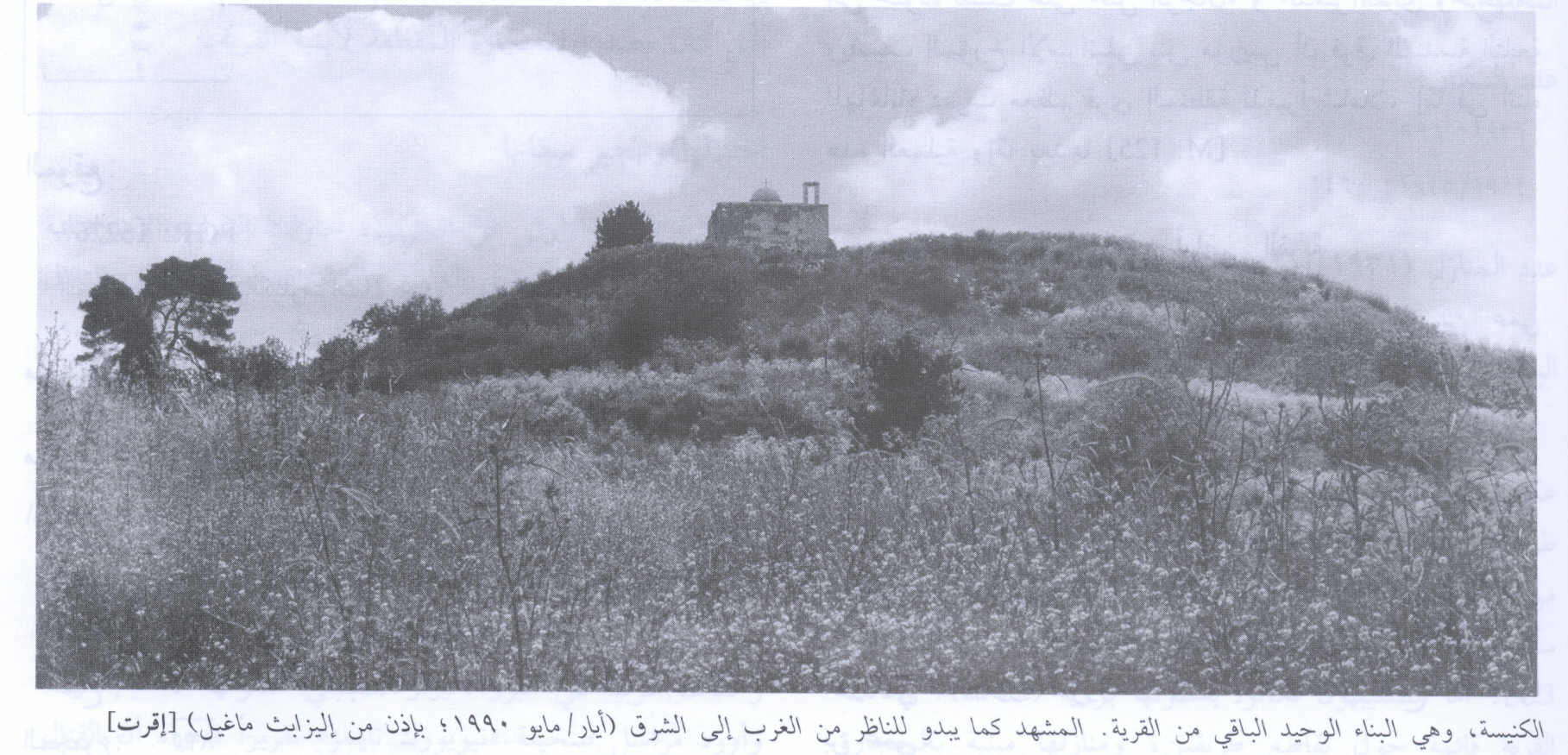 صورة لقرية إقرت - فلسطين: : كنيسة إقرت كل ما تبقى من القرية-1990