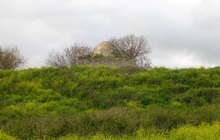 Picture for al-Nabi Rubin Village - Palestine: : مقام النبي روبين