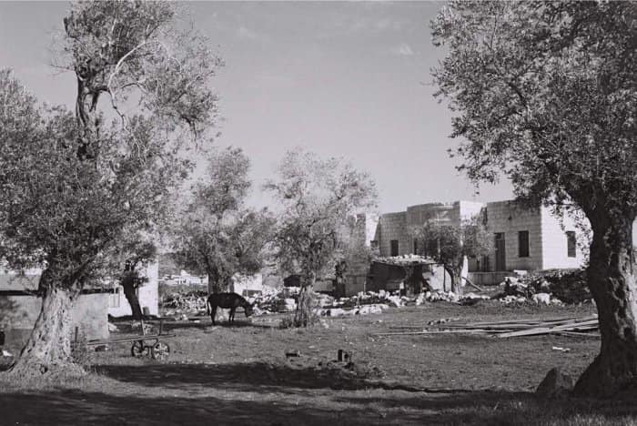 Picture for al-Sumayriyya Village - Palestine: : A village scene during the pre-Nakba period -- مشهد في القرية يعود لقبل النكبة