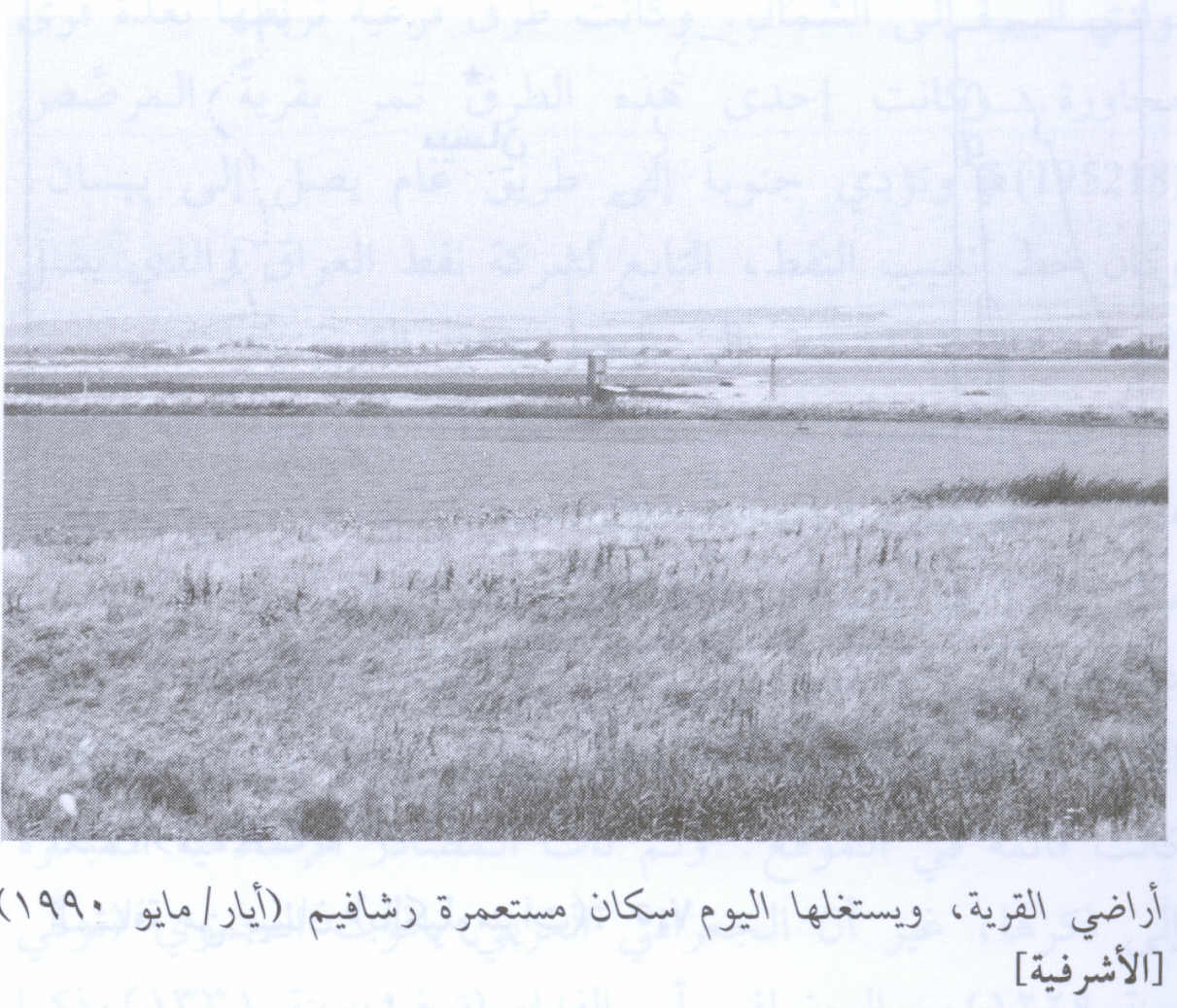 Picture for al-Ashrafiyya Village - Palestine: : Village Site In 1990