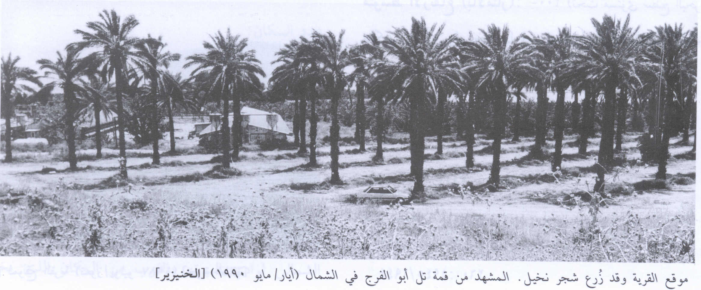 Picture for al-Khunayzir Village - Palestine: : Village Site in 1990
