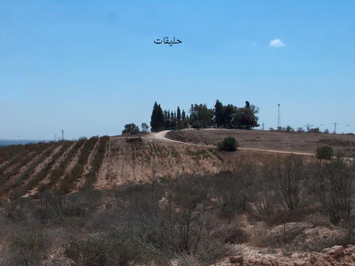 Picture for Hulayqat Village - Palestine: : منظر عام لموقع القرية المدمرة