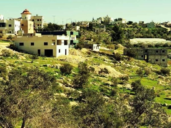 صورة لقرية بيت مرسم - فلسطين: : منظر عام