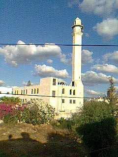 Picture for Falama Village - Palestine: : مسجد فلاميه