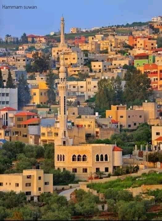 Picture for Immatin Village - Palestine: : منظر عام