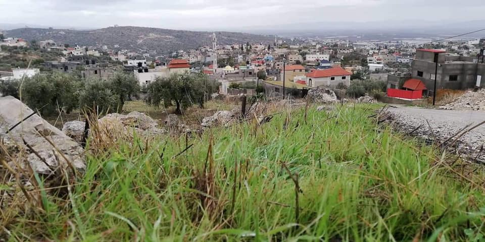 Picture for Kafr Dan Village - Palestine: : منظر عام #3