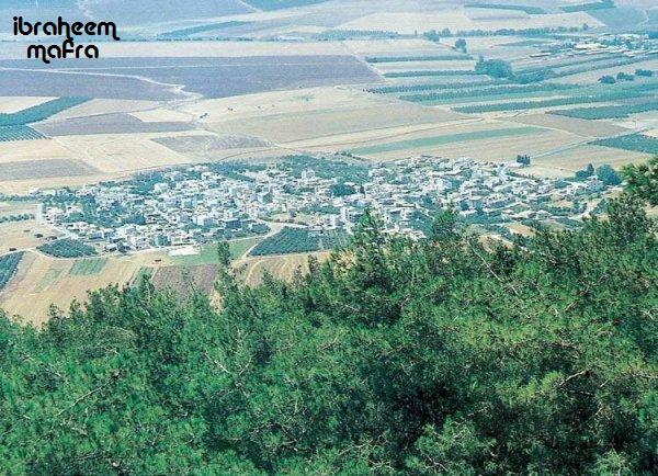 Picture for Sulam (Shunem) Village - Palestine: : منظر عام