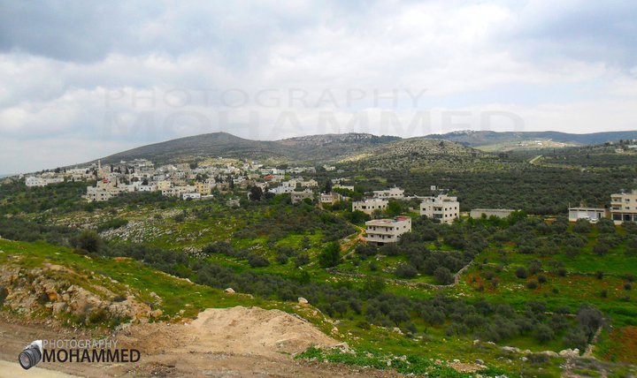 Picture for 'Azmut Village - Palestine: : منظر عام للقرية -- 2011