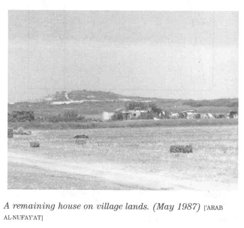 Picture for 'Arab al-Fuqara' Village - Palestine: : Remaining Houses Of The Village In 1987