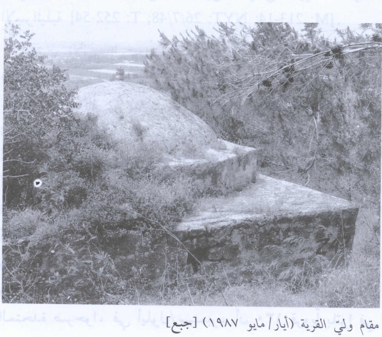 صورة لقرية جبع - فلسطين: : مقام مقام الشيخ (عمير)، 1987.