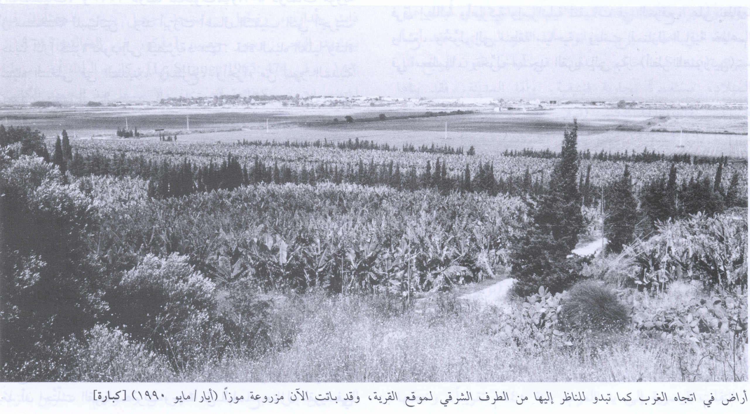 Picture for Kabara Village - Palestine: : Village Rubble In 1987