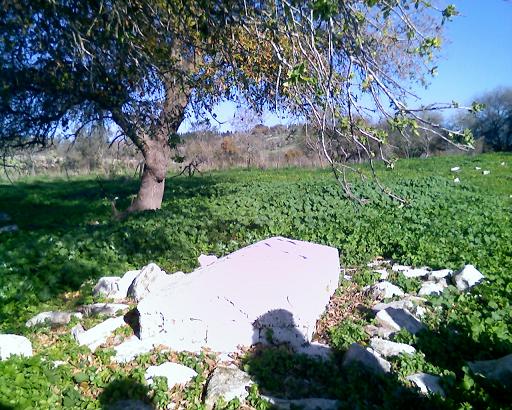 صورة لقرية ام الشوف - فلسطين: : مقبرة أم الشوف 2008 (من أرشيف ديرتنا)