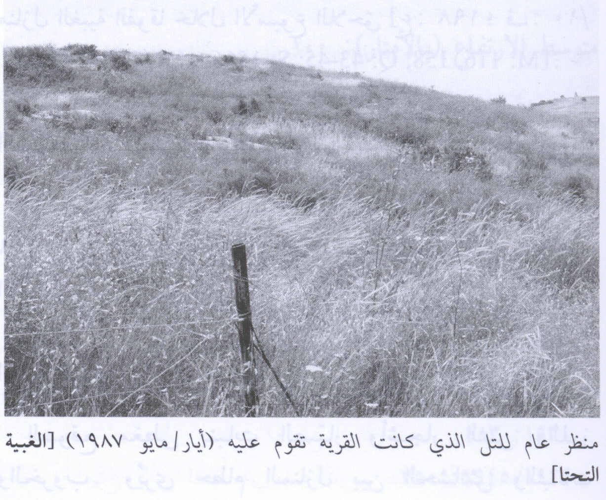 صورة لقرية الغبية التحتا - فلسطين: : منظر لموقع القرية التي دمرها الصهاينة وطهروا سكانها عرقياً. 1987