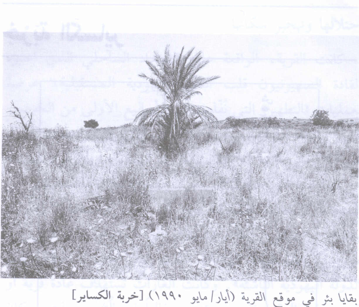 صورة لقرية خربة الكساير - فلسطين: : آثار لبئر ماء في القرية، 1987.