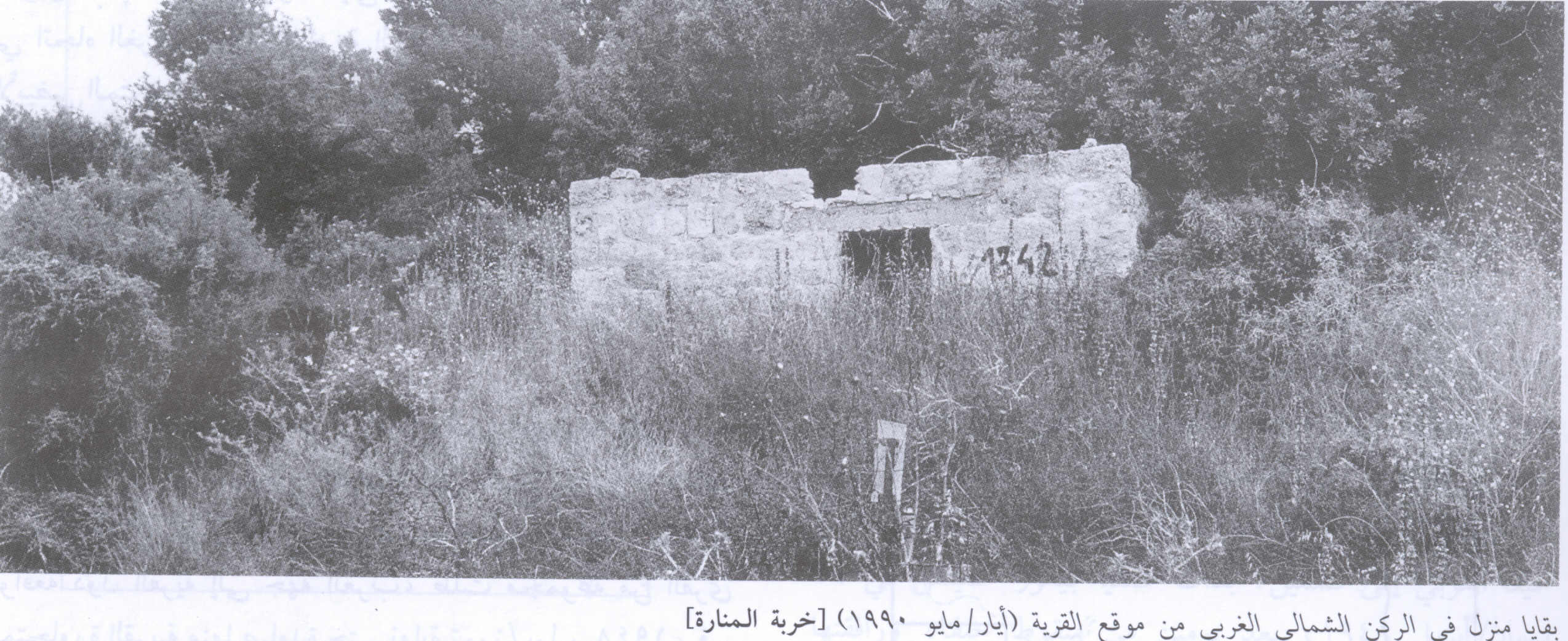 Picture for al-Manara, Khirbat Village - Palestine: : Remains Of Village House In 1990