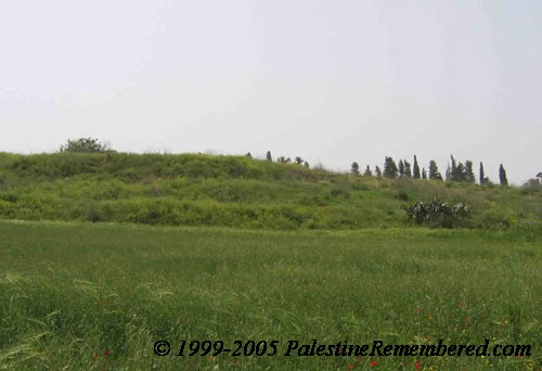 Picture for al-Rihaniyya Village - Palestine: : General view of were the village used to stand