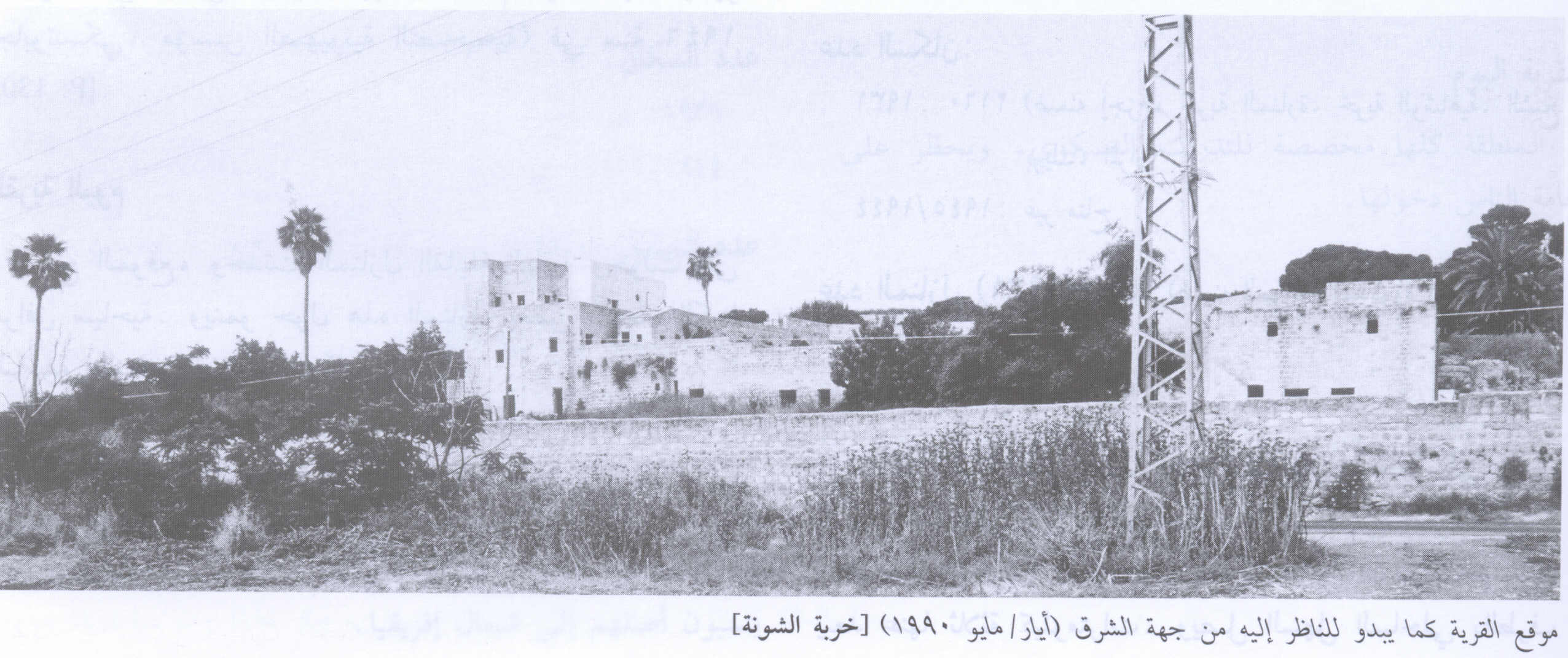 صورة لقرية خربة الشونة - فلسطين: : منظر عام للقرية المدمرة من الجهة الغربية. 1990