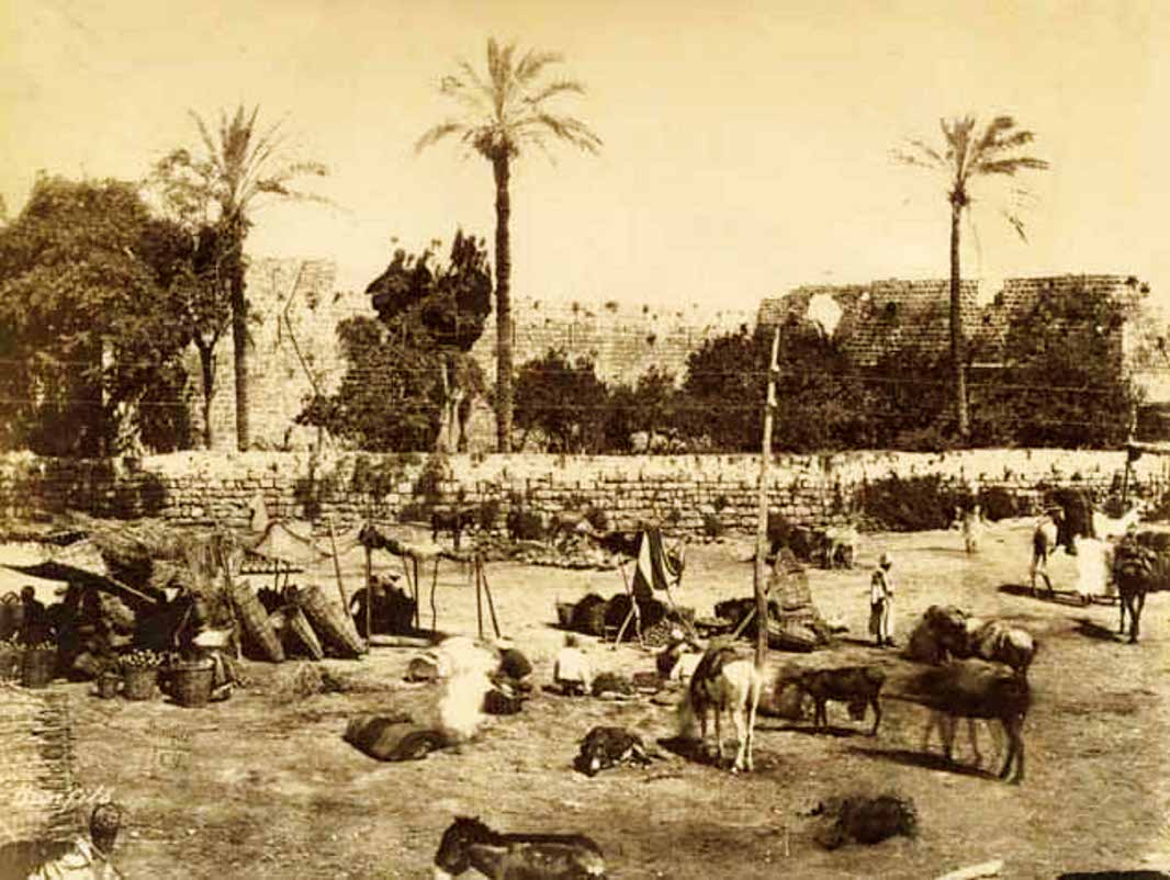 صورة لمدينة يافا: JAFFA - late 19th, early 20th c. 71 - Cattle market outside Jaffa, circa 1880s - Bonfils (Per Reem Ackall). تصفح 70 ألف صورة تدون الحياة والتراث الفلسطيني جلهم قبل النكبة