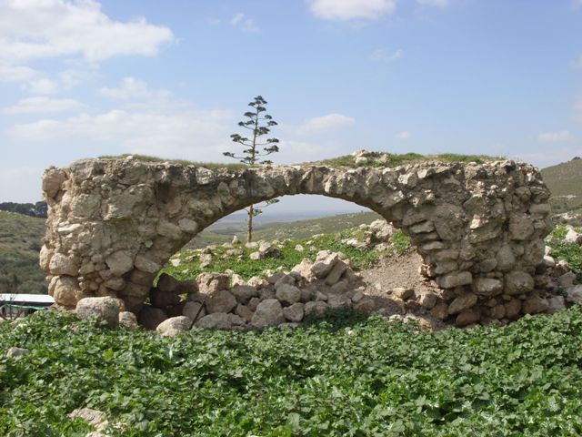 Picture for Dayr Rafat Village - Palestine: : Arce in Dayr Village ( Remains) 2008