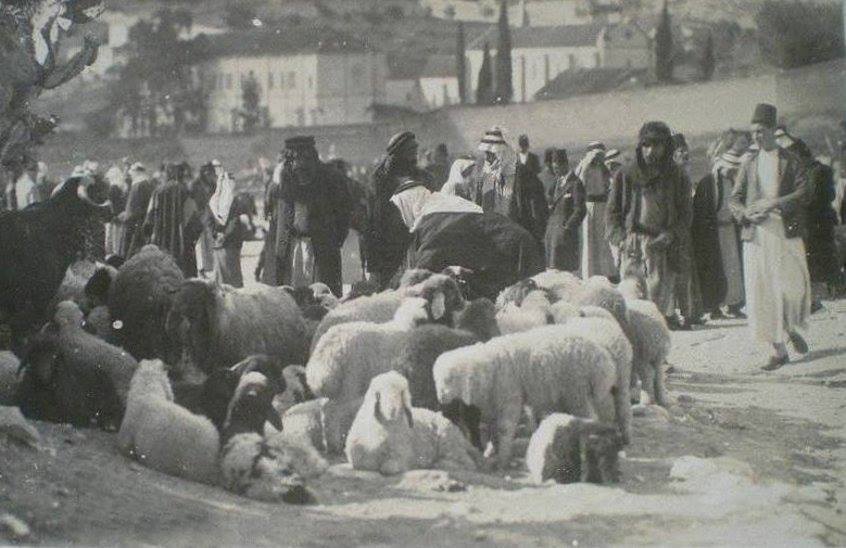 صورة لمدينة الناصرة: سوق الاثنين في مدينة الناصرة العامرة عام 1920. تصفح 70 ألف صورة تدون الحياة والتراث الفلسطيني جلهم قبل النكبة