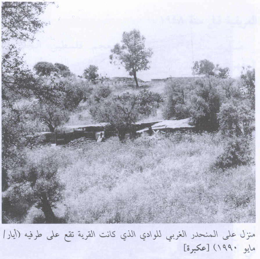 صورة لقرية عكبرة - فلسطين: : منظر لاحدى بيوت القرية المغتصبة موجودة في الجهة الغربية من الوادي الذي يخترق القرية. 1990