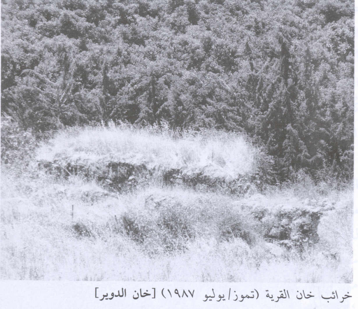صورة لقرية خان الدوير - فلسطين: : انقاض الخان المدمر. 1987