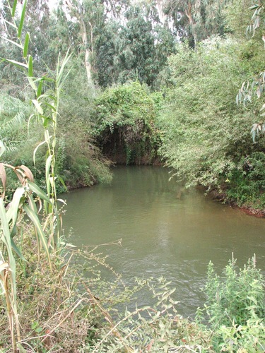 Picture for al-'Abisiyya Village - Palestine: : العبسي نهر بانياس