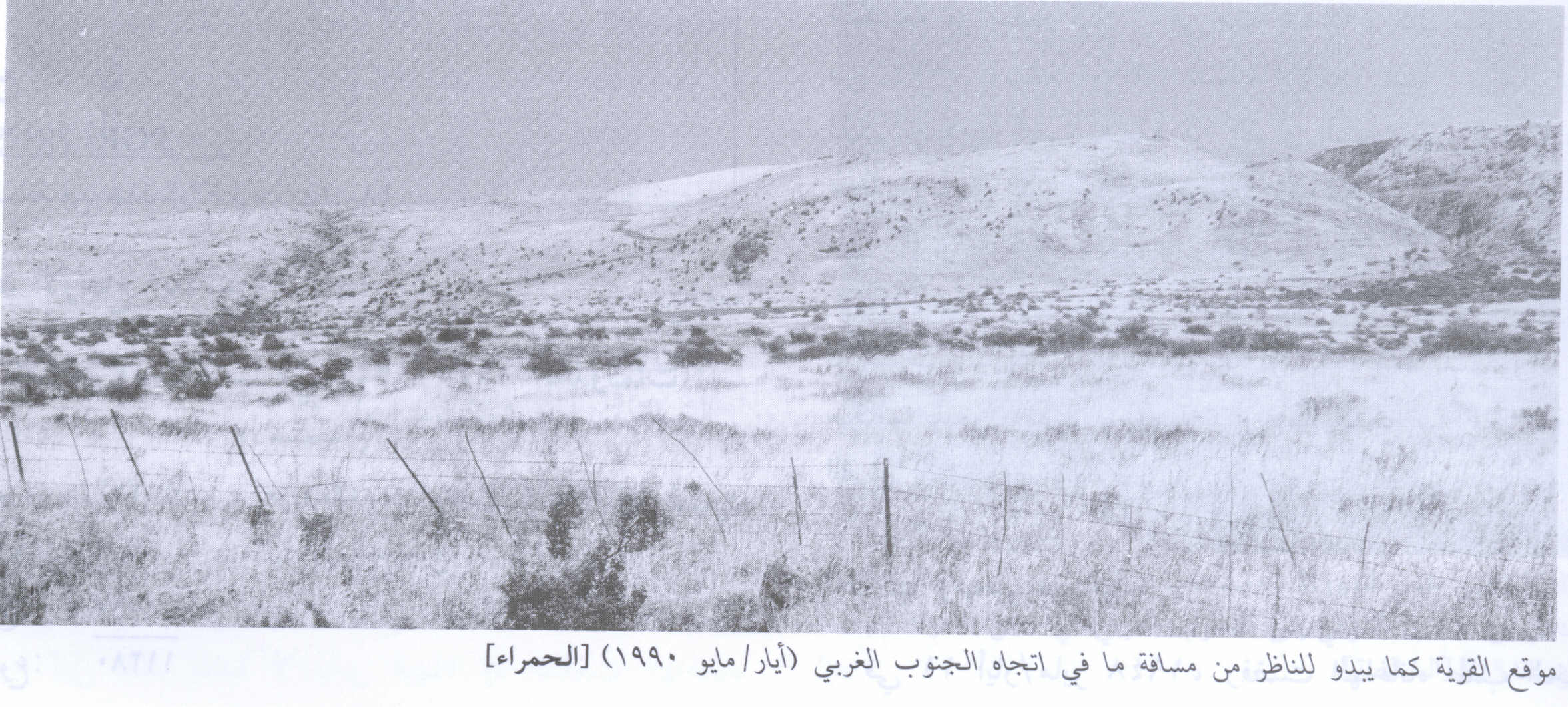 Picture for al-Hamra' Village - Palestine: : Village Land In 1990