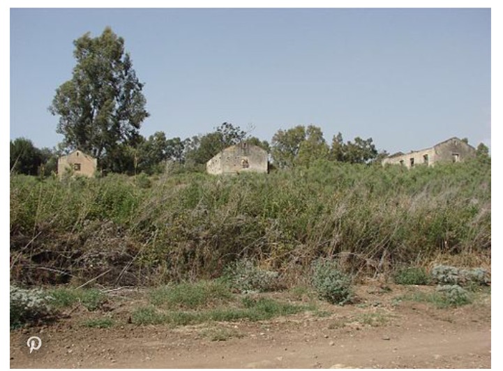 Picture for al-Na'ima Village - Palestine: : تل الناعمه جنوب القريه