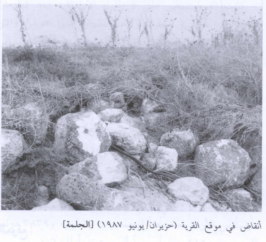 Picture for al-Jalama Village - Palestine: : Rubble on the village site, 1987