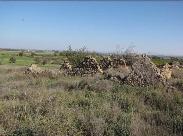 Picture for al-Mansura Village - Palestine: : موقع القريه واثار بيوتها