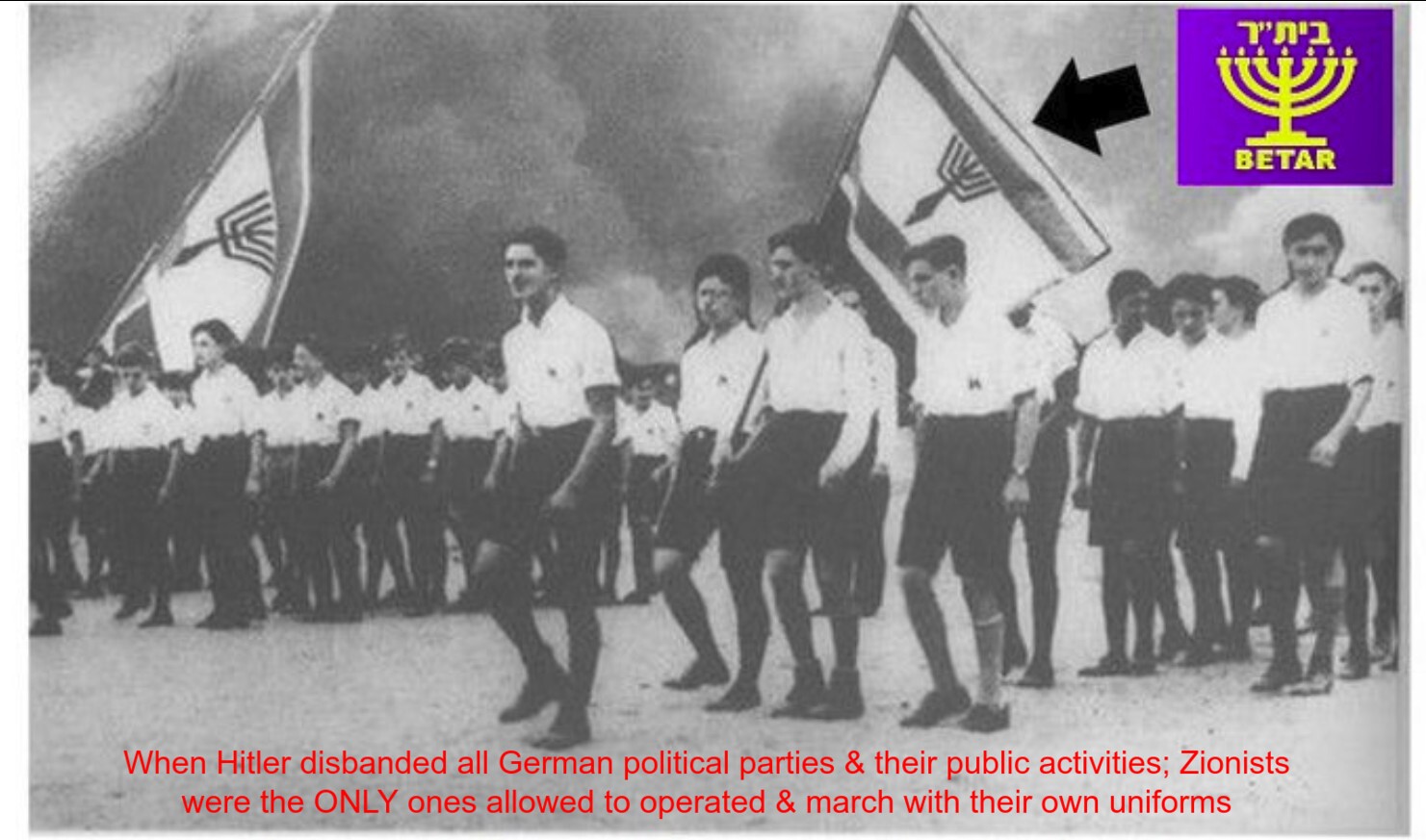 Zionists were the only non-Nazi parties allowed to operate in Nazi Germany!