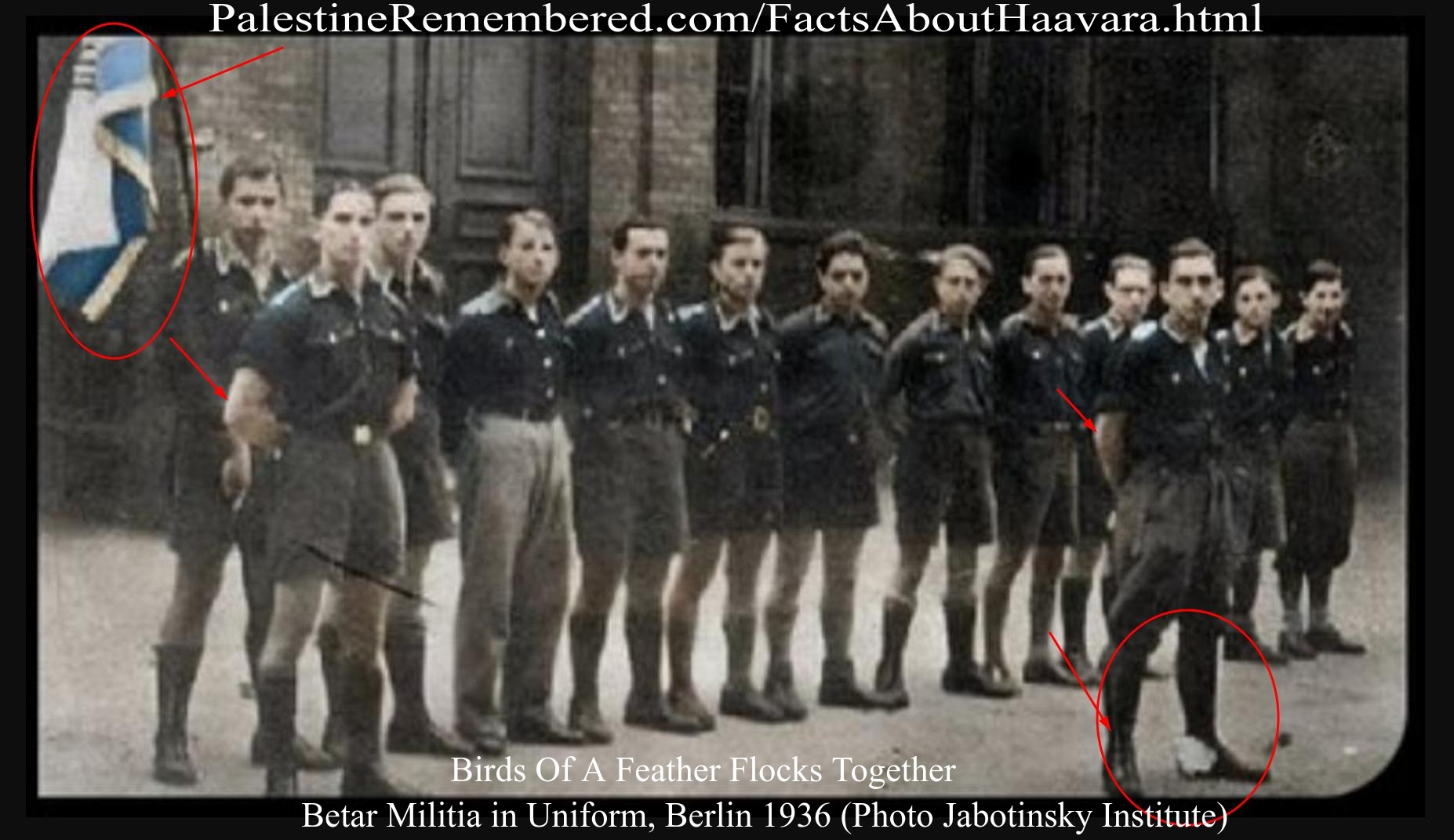Zionists were the only non-Nazi parties allowed to operate in Nazi Germany!